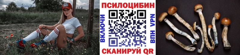 это официальный сайт  Обнинск  Псилоцибиновые грибы MAGIC MUSHROOMS  продажа наркотиков 
